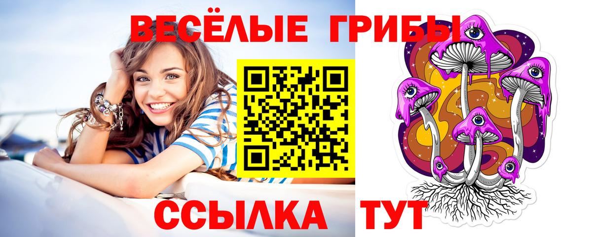 Псилоцибиновые грибы GOLDEN TEACHER  Вход с VPN  Знаменск 